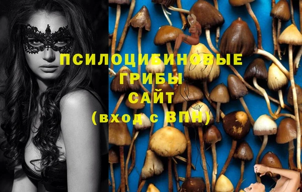 соль курить ск Остров